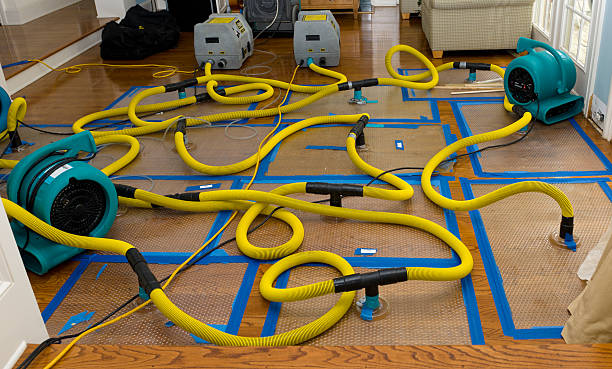 Professional Water Damage Restoration technician working in Chandler, IN